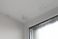 condensation damage on ceiling