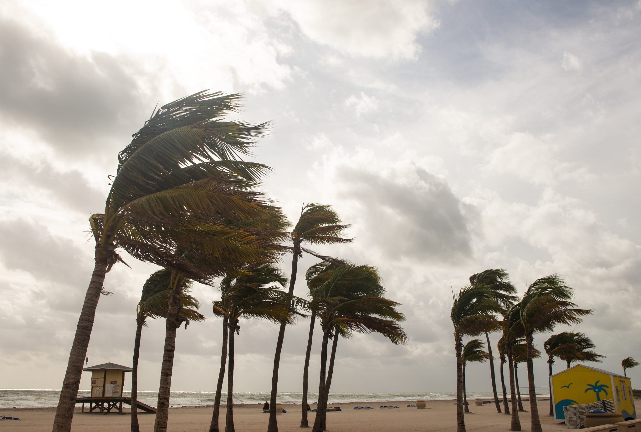 which way do hurricane winds blow?