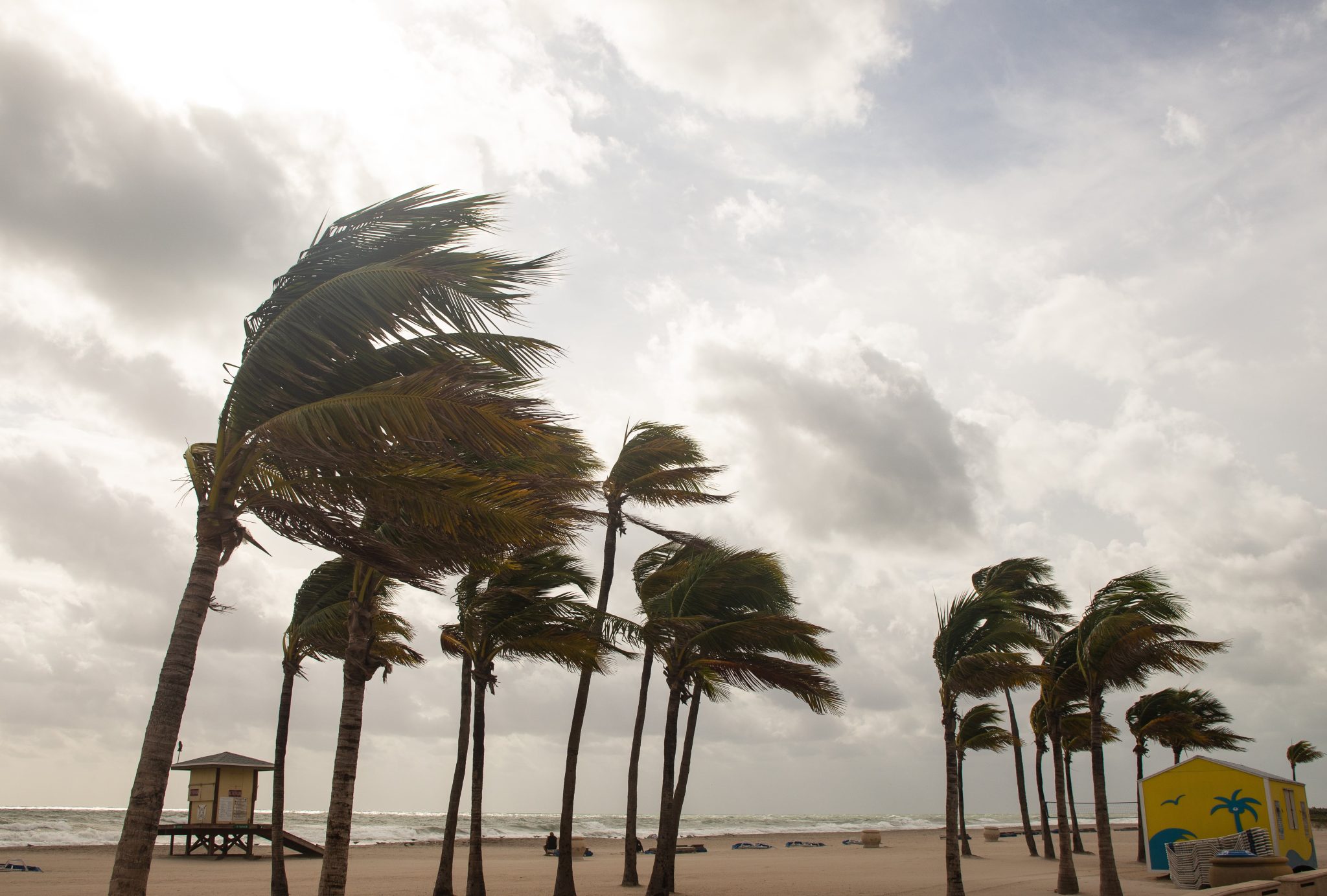 Do Hurricane Winds Blow Clockwise or Counterclockwise? | Kanner & Pintaluga