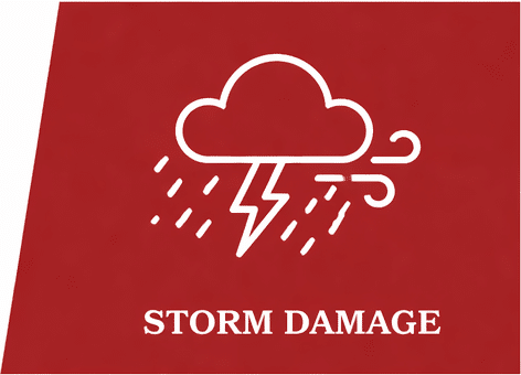 storm damage icon